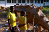 Bissau, Guinea Bissau / Guin Bissau: Bandim quarter, Carnival masks, mask of a dragon, children / Bairro Bandim, mascaras de carnaval, preparao, mscara de um drago, crianas - photo by R.V.Lopes