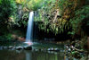 Hawaii - Maui island: Twin Falls, halfway between Lahaina and Hana - Photo by G.Friedman