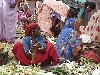 Diu (Daman and Diu - former Portuguese India / Ex Estado Portugus da India): selling corn at the market (photo by Alejandro Slobodianik)