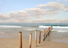 Israel - Kibbutz Sdot Yam: pier remains - photo by Efi Keren