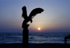 Israel - Caesarea - Hadera: bird and sunset - photo by Efi Keren