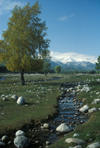 East Kazakhstan oblys: stream and mountain landscape - autumn - photo by V.Sidoropolev