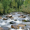 East Kazakhstan oblys - Altay Mountains: mountain stream and forest - photo by V.Sidoropolev