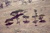 Kenya - Ngongo Hills - Rift Valley province: the landscape from above - dry savanna, open grass plains with scattered acacia bushes - photo by F.Rigaud