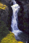 Kerguelen island: Port Jeanne d'Arc - waterfall (photo by Francis Lynch)