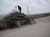 Serbia - Kosovo: rural life - wood and tractor - photo by A.Kilroy