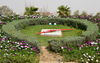 Erbil / Hewler / Arbil / Irbil, Kurdistan, Iraq: floral clock at Minare Park - photo by M.Torres