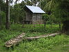 Laos - Don Det Island - Si Phan Don region - 4000 islands - Mekong river: hut and canoes - photo by M.Samper