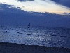 Latvia - Kolka: windsurfing - Kolkasrags cape, entrance to the Gulf of Riga - betwen the Mazjura and Dizjura (Little Sea and Great Sea) - Livonian village - Slitere national park (Talsu Rajons - Kurzeme) - photo by A.Dnieprowsky