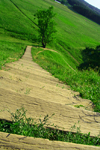 Lithuania - Kernave: Lithuania-green land - stairs - photo by Sandia