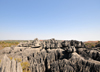 Tsingy de Bemaraha National Park, Mahajanga province, Madagascar: the rocks were formed at the time of Madagascar's separation from mainland Africa,  African tectonic plate - karst limestone formation - UNESCO World Heritage Site - photo by M.Torres