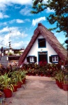 Madeira - Santana: casa tradicional da madeira com vasos / traditional house with vases - photo by F.Rigaud