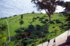 Madeira - Funchal: promenade do Lido / Lido promenade - photo by F.Rigaud