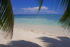 Sipadan Island, Sabah, Borneo, Malaysia: blue sky and white sandy beach lined with coconut trees - photo by S.Egeberg