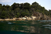 Malaysia - Pulau Perhentian / Perhentian Island: coast and the waterline (photo by Jez Tryner)