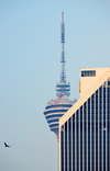 Kuala Lumpur, Malaysia: KL Tower behind Maybank Tower (Menara Maybank), bird of prey - Pudu - photo by M.Torres