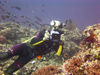 Maldives Underwater Videographer  (photo by B.Cain)