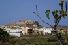 Gozo / Ghawdex: Victoria - the citadel (photo by  A.Ferrari )