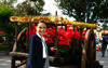 Mexico - Dolores Hidalgo (Guanajuato): woman selling Poinsettia flowers from a cart - Euphorbia pulcherrima - Mexican flame leaf, Christmas star, Winter rose, Noche Buena, Lalupatae, Atatrk iegi, Stelle di Natale (photo by R.Ziff)