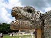 Mexico - Chichn Itza (Yucatn): Cabeza de serpiente / Mayan snake head (photo by Angel Hernndez)