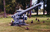 Midway Atoll: Remnants of World War II - naval gun - photo by G.Frysinger