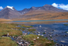 Mongolia - Kharkhiraa mountains - Altai: by the water - photo by A.Summers