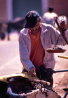 Morocco / Maroc - Tinerhir: selling grapes - photo by F.Rigaud