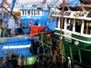 Morocco / Maroc - Mogador / Essaouira: trawlers cabins - photo by J.Kaman