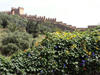 Morocco / Maroc - Rabat: Chella necropolis - Almohad ramparts - photo by J.Kaman