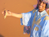 Morocco / Maroc - Erg Chebbi: blind lizard (photo by J.Kaman)