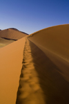 Namib Desert - Sossusvlei, Hardap region, Namibia:  apricot colour curby sand dunes - ridge - Namib-Naukluft National Park - photo by Sandia