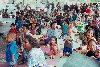 Nauru: meeting the locals (photo by B.Cloutier)