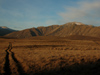 39 New Zealand - South Island - Mackenzie Country - in the fields - Canterbury region (photo by M.Samper)