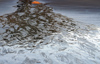 tide pool - ripples (photographer: Mark Duffy)