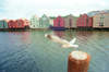 Norway / Norge - Trondheim / TRD (Sr Trndelag): a seagull takes off - vre Elvehavn (photo by Juraj Kaman)