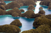 Rock Islands / Chelbacheb, Koror state, Palau / Belau: aerial view - blue lagoons and ancient coral reefs swathed in thick vegetation - photo by B.Cain