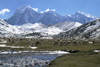 Ausangate massif, Cuzco region, Peru: alpacas grazing by the Jampamayo river, under Senal Nevado Tres Picos - Auzangate trek- Peruvian Andes - photo by C.Lovell