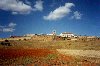 Portugal - Alentejo - Estremoz: fora de muralhas - photo by M.Durruti