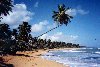 Puerto Rico - Bosque de Piones: playa - cera de Punta Vacia Talega (photo by M.Torres)