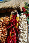 Russia - Krasnodar: peppers - Golden Apple folk festival (photo by Vladimir Sidoropolev)