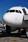 Johannesburg, Gauteng, South Africa: South African Airways Airbus A319-131 ZS-SFK (cn 2418) - nose view - OR Tambo International / Johannesburg International Airport / Jan Smuts / JNB - Kempton Park, Ekurhuleni - photo by M.Torres