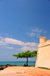 So Tom, So Tom and Prncipe / STP: Bengal almond tree and Portuguese fort of Saint Sebastian / amendoeira tropical e fortaleza de So Sebastio - photo by M.Torres