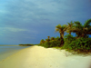 Turtle Islands, Southern Province, Sierra Leone: deserted beach - photo by T.Trenchard