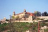 Slovakia / Slowakei - Bratislava (Zapadoslovensky) / BTS : Castle hill  / Bratislavsky Hrad (photo by Miguel Torres)