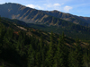 Slovakia - Nizke Tatry / Low Tatras: forest - Demanovska Valley - Zilina Region - Central Slovakia - photo by J.Kaman