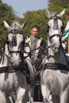 Slovenia - Lipica / Lipizza - Goriska region: Lipica stud farm - Combined driving event - Carriage Driving - front view of horses and driver - photo by I.Middleton