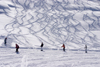 Slovenia - tracks left by skiers - Vogel mountain in Bohinj - photo by I.Middleton