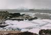 South Orkney islands - Coronation island: the beach (photo by G.Frysinger)