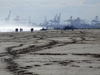 Spain / Espaa - Valencia: La Costa Blanca - sand and cranes (photo by M.Bergsma)