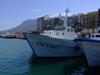 Spain - Denia - Harbour - fishing boats - photo by M.Bergsma